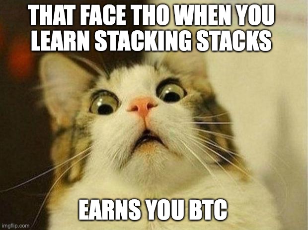Stacks | THAT FACE THO WHEN YOU 
LEARN STACKING STACKS; EARNS YOU BTC | image tagged in memes,scared cat,stacks,stx,blockstack | made w/ Imgflip meme maker