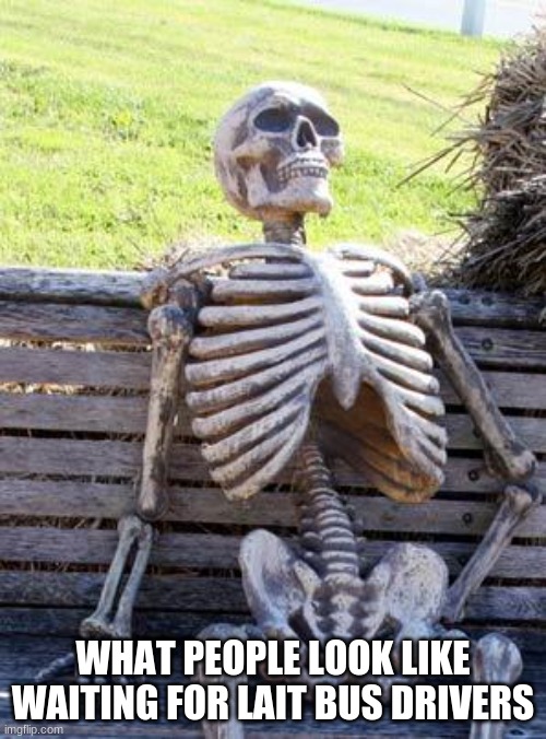 Waiting Skeleton | WHAT PEOPLE LOOK LIKE WAITING FOR LAIT BUS DRIVERS | image tagged in memes,waiting skeleton | made w/ Imgflip meme maker