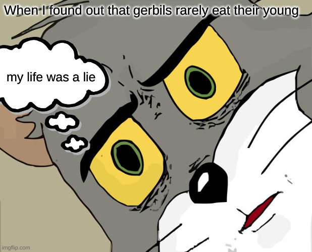 Unsettled Tom | When I found out that gerbils rarely eat their young; my life was a lie | image tagged in memes,unsettled tom | made w/ Imgflip meme maker