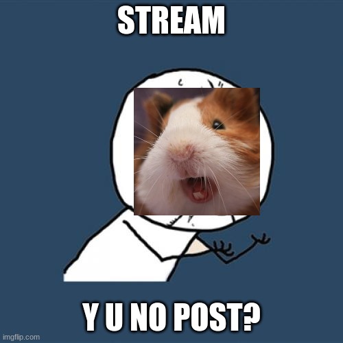 dead stream | STREAM; Y U NO POST? | image tagged in memes,y u no,guinea pig | made w/ Imgflip meme maker