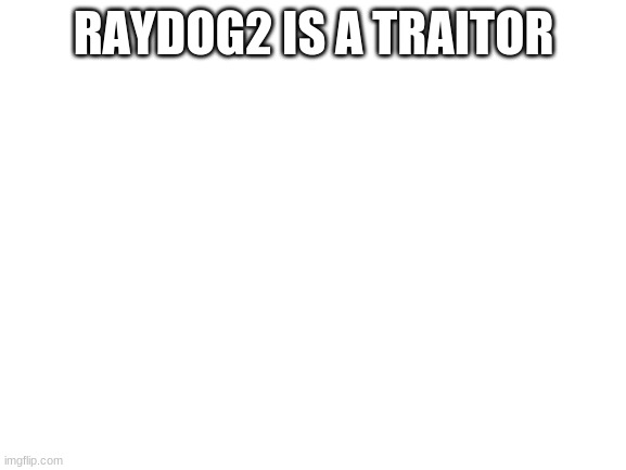Blank White Template | RAYDOG2 IS A TRAITOR | image tagged in blank white template | made w/ Imgflip meme maker