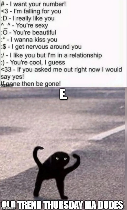 yeetskies | E. OLD TREND THURSDAY MA DUDES | image tagged in cursed cat | made w/ Imgflip meme maker