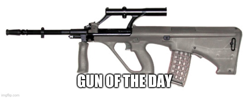 Gun : AUG | GUN OF THE DAY | made w/ Imgflip meme maker