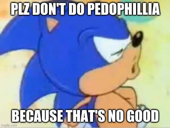 dont | PLZ DON'T DO PEDOPHILLIA; BECAUSE THAT'S NO GOOD | image tagged in sonic that's no good,memes | made w/ Imgflip meme maker