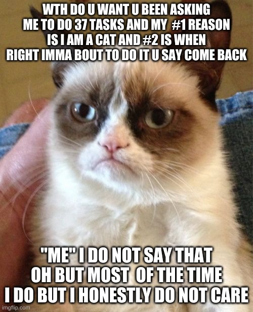 meow | WTH DO U WANT U BEEN ASKING ME TO DO 37 TASKS AND MY  #1 REASON IS I AM A CAT AND #2 IS WHEN RIGHT IMMA BOUT TO DO IT U SAY COME BACK; "ME" I DO NOT SAY THAT OH BUT MOST  OF THE TIME I DO BUT I HONESTLY DO NOT CARE | image tagged in memes,grumpy cat | made w/ Imgflip meme maker