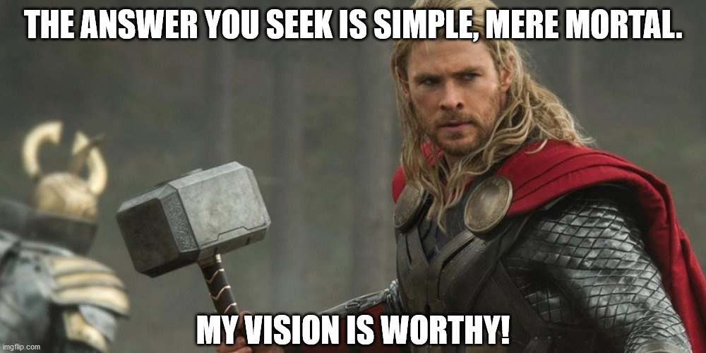 Just answering your question! | THE ANSWER YOU SEEK IS SIMPLE, MERE MORTAL. MY VISION IS WORTHY! | image tagged in marvel,thor,mjolnir,vision | made w/ Imgflip meme maker