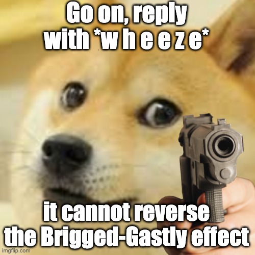 Oh, you Sure you wanna know about the Briggs-Gastley Effect? :) | Go on, reply with *w h e e z e*; it cannot reverse the Brigged-Gastly effect | image tagged in doge holding gun | made w/ Imgflip meme maker