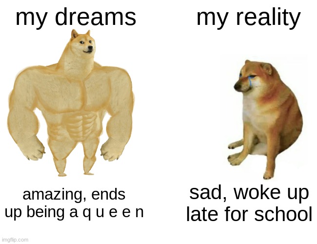 why cant i stay sleeep | my dreams; my reality; amazing, ends up being a q u e e n; sad, woke up late for school | image tagged in memes,buff doge vs cheems,dreams,sad | made w/ Imgflip meme maker