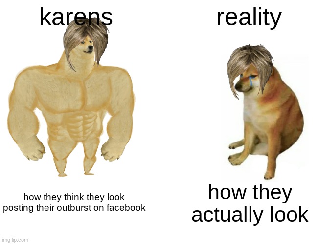 did i lie tho | karens; reality; how they think they look posting their outburst on facebook; how they actually look | image tagged in memes,buff doge vs cheems | made w/ Imgflip meme maker