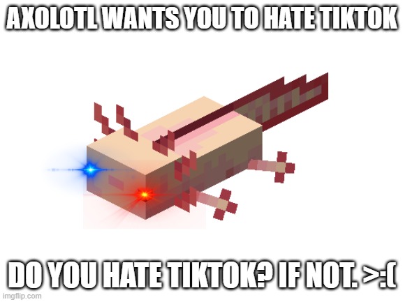 No more tik tok | AXOLOTL WANTS YOU TO HATE TIKTOK; DO YOU HATE TIKTOK? IF NOT. >:( | image tagged in blank white template | made w/ Imgflip meme maker