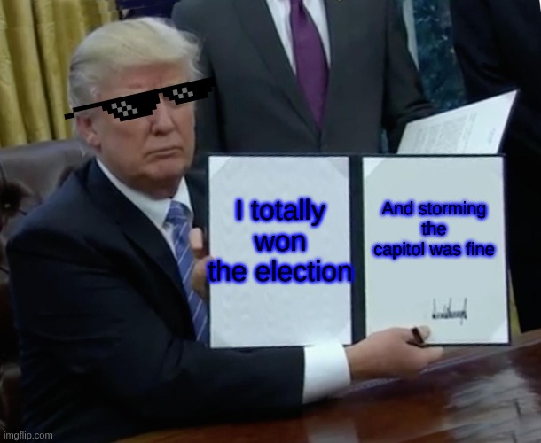 i'm trump | I totally won the election; And storming the capitol was fine | image tagged in memes,trump bill signing | made w/ Imgflip meme maker