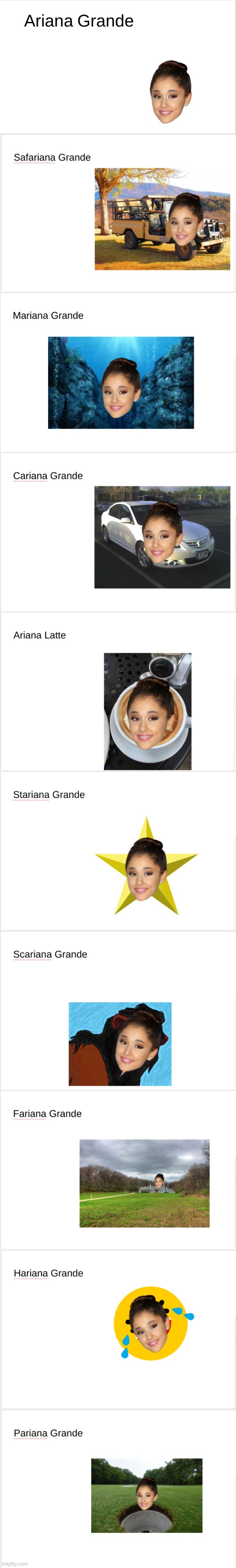 This Took Longer To Make Than It Should Have | image tagged in ariana grande,funny,memes,why did i make this,im not ok,lmfao | made w/ Imgflip meme maker