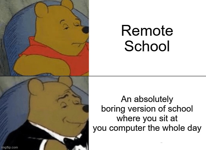 Tuxedo Winnie The Pooh | Remote School; An absolutely boring version of school where you sit at you computer the whole day | image tagged in memes,tuxedo winnie the pooh | made w/ Imgflip meme maker