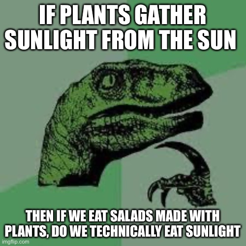 Just Wondering? | IF PLANTS GATHER SUNLIGHT FROM THE SUN; THEN IF WE EAT SALADS MADE WITH PLANTS, DO WE TECHNICALLY EAT SUNLIGHT | image tagged in dinosaur,plants,sunlight,salad,curious | made w/ Imgflip meme maker