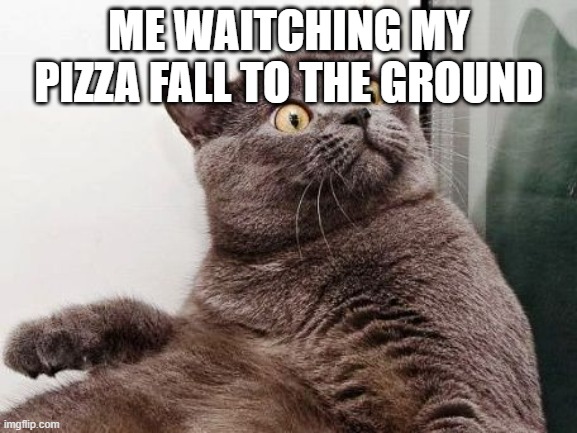 suprise cat | ME WAITCHING MY PIZZA FALL TO THE GROUND | image tagged in suprise cat | made w/ Imgflip meme maker