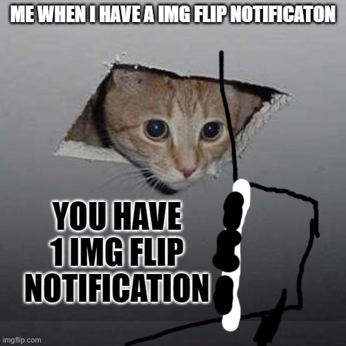 Ceiling Cat Meme | ME WHEN I HAVE A IMG FLIP NOTIFICATON; YOU HAVE 1 IMG FLIP NOTIFICATION | image tagged in memes,ceiling cat | made w/ Imgflip meme maker
