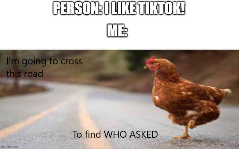 Chicken. Lets find who asked together.. (custom template) | PERSON: I LIKE TIKTOK! ME: | image tagged in chicken wants to find who asked | made w/ Imgflip meme maker