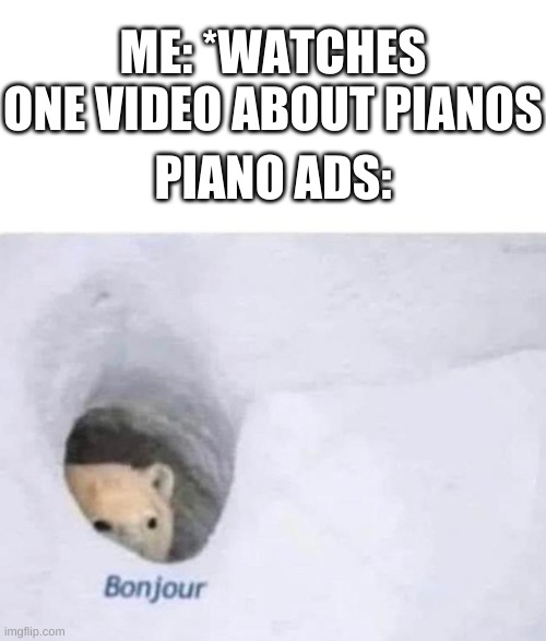 ree | ME: *WATCHES ONE VIDEO ABOUT PIANOS; PIANO ADS: | image tagged in memes,funny,bonjour,piano,bruh,advertising | made w/ Imgflip meme maker