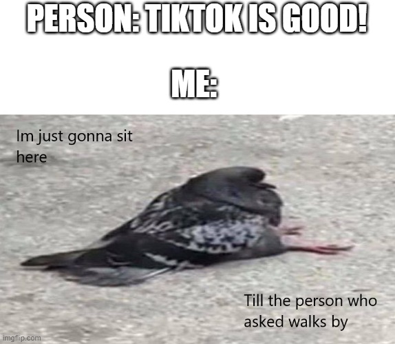 Who asked? (other custom template) | PERSON: TIKTOK IS GOOD! ME: | image tagged in pigeon will wait to find who asked | made w/ Imgflip meme maker