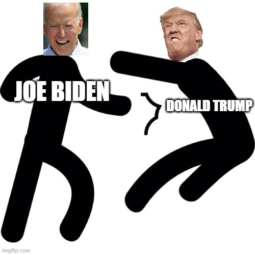 Donald Trump vs Joe Biden | JOE BIDEN; DONALD TRUMP | image tagged in donald trump,joe biden,fighting,voting | made w/ Imgflip meme maker