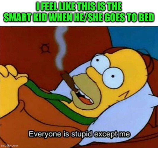 Everyone is stupid except me | I FEEL LIKE THIS IS THE SMART KID WHEN HE/SHE GOES TO BED | image tagged in everyone is stupid except me | made w/ Imgflip meme maker