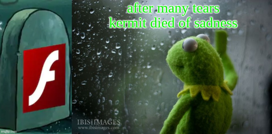 after many tears kermit died of sadness | image tagged in rip adobe flash 1996-2021,kermit window | made w/ Imgflip meme maker