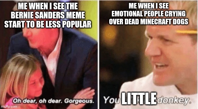 Please | ME WHEN I SEE EMOTIONAL PEOPLE CRYING OVER DEAD MINECRAFT DOGS; ME WHEN I SEE THE BERNIE SANDERS MEME START TO BE LESS POPULAR; LITTLE | image tagged in gordon ramsey talking to kids vs talking to adults,minecraft,bernie sitting | made w/ Imgflip meme maker