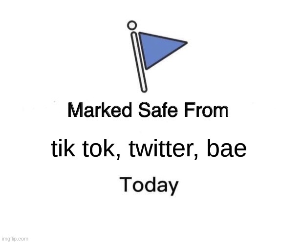 Marked Safe From | tik tok, twitter, bae | image tagged in memes,marked safe from | made w/ Imgflip meme maker