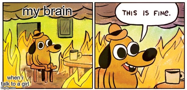 This Is Fine Meme | my brain; when i talk to a girl | image tagged in memes,this is fine | made w/ Imgflip meme maker