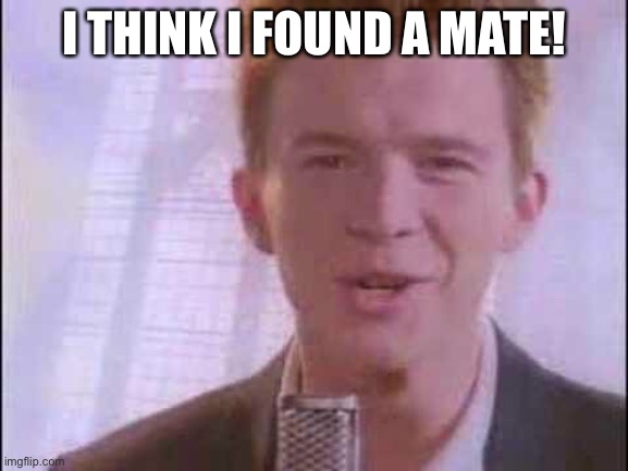 rick roll | I THINK I FOUND A MATE! | image tagged in rick roll | made w/ Imgflip meme maker