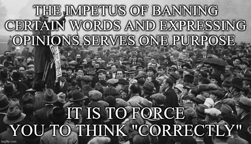 speech | THE IMPETUS OF BANNING CERTAIN WORDS AND EXPRESSING OPINIONS SERVES ONE PURPOSE; IT IS TO FORCE YOU TO THINK "CORRECTLY" | image tagged in free speech | made w/ Imgflip meme maker