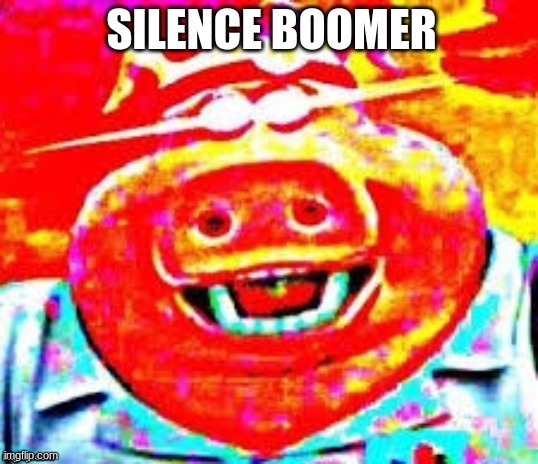 SILENCE BOOMER | image tagged in silence boomer | made w/ Imgflip meme maker