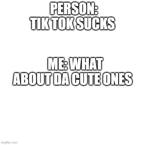 tell me why tik tok sucks please | PERSON: TIK TOK SUCKS; ME: WHAT ABOUT DA CUTE ONES | image tagged in memes,blank transparent square | made w/ Imgflip meme maker