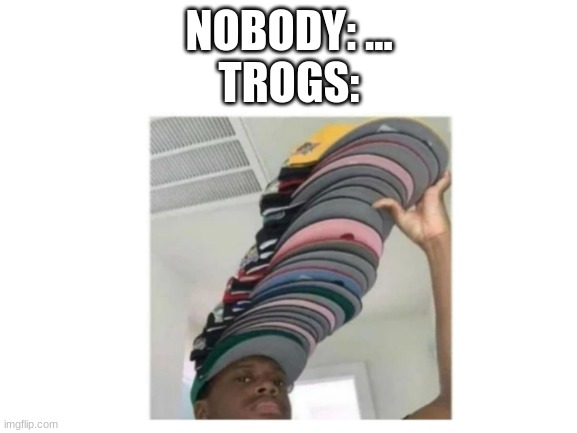 lol | NOBODY: ...
TROGS: | image tagged in hats,memes | made w/ Imgflip meme maker
