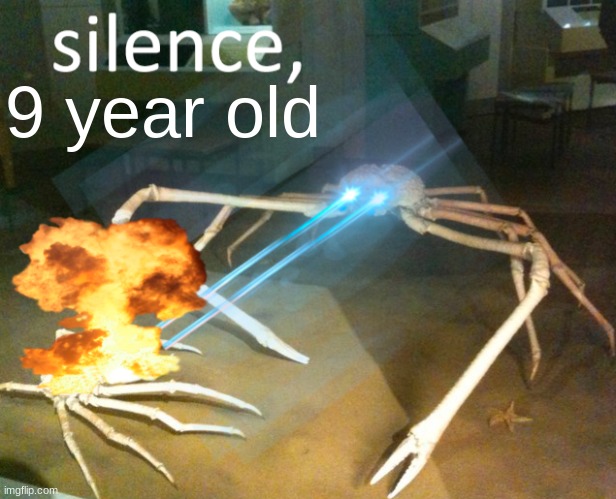 Silence Crab | 9 year old | image tagged in silence crab | made w/ Imgflip meme maker