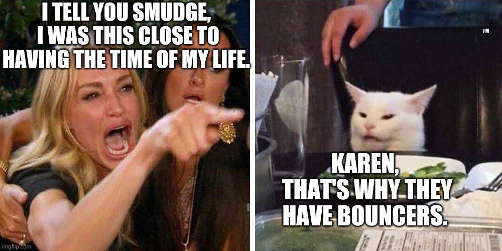 Smudge the cat | J M; I TELL YOU SMUDGE,  I WAS THIS CLOSE TO HAVING THE TIME OF MY LIFE. KAREN,  THAT'S WHY THEY HAVE BOUNCERS. | image tagged in smudge the cat | made w/ Imgflip meme maker