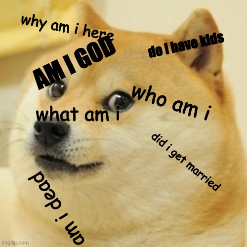 million questions | why am i here; do i have kids; AM I GOD; who am i; what am i; did i get married; am i dead | image tagged in memes,doge | made w/ Imgflip meme maker