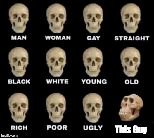 This Guy | image tagged in idiot skull | made w/ Imgflip meme maker
