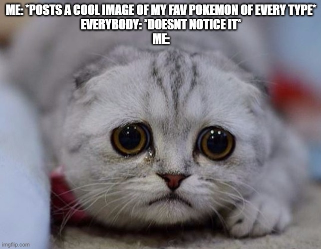 sad kitty | ME: *POSTS A COOL IMAGE OF MY FAV POKEMON OF EVERY TYPE*
EVERYBODY: *DOESNT NOTICE IT*
ME: | image tagged in sad kitty | made w/ Imgflip meme maker