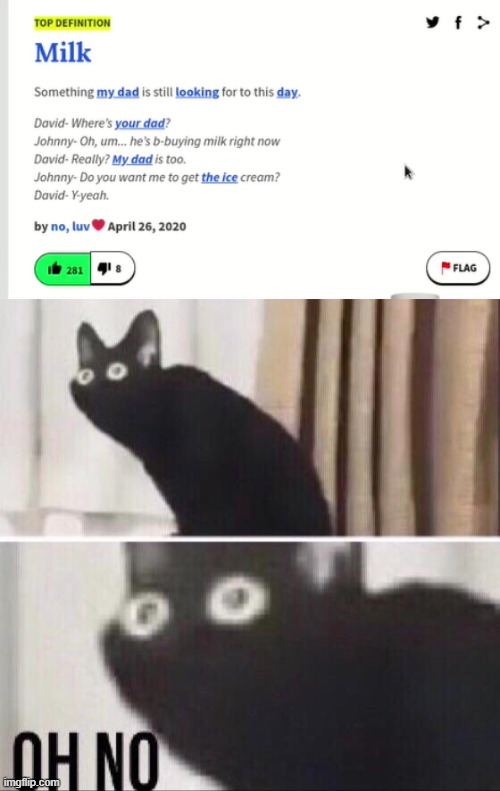 image tagged in oh no cat | made w/ Imgflip meme maker