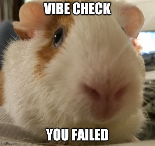 vibe check | VIBE CHECK; YOU FAILED | image tagged in veggies | made w/ Imgflip meme maker