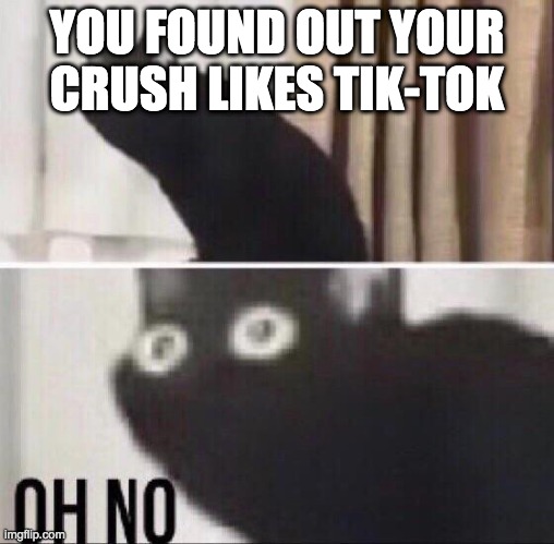 No, srsly | YOU FOUND OUT YOUR CRUSH LIKES TIK-TOK | image tagged in oh no cat | made w/ Imgflip meme maker