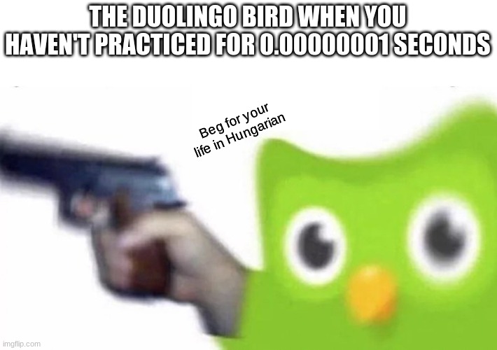 duolingo gun | THE DUOLINGO BIRD WHEN YOU HAVEN'T PRACTICED FOR 0.00000001 SECONDS; Beg for your life in Hungarian | image tagged in duolingo gun | made w/ Imgflip meme maker