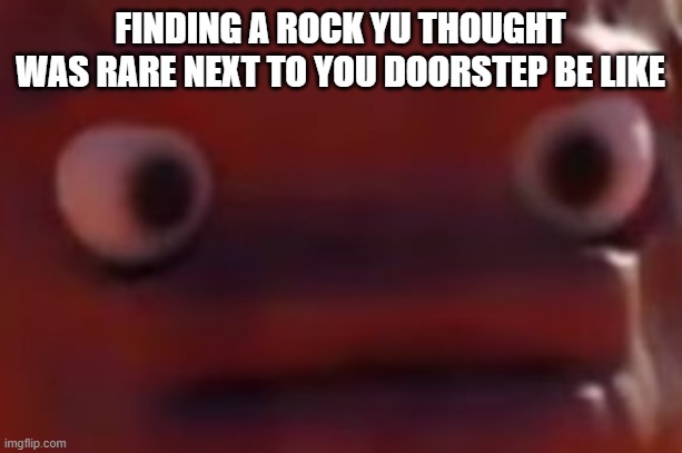 dont question photo tag like dont | FINDING A ROCK YU THOUGHT WAS RARE NEXT TO YOU DOORSTEP BE LIKE | image tagged in happened,to,me,once,frudge | made w/ Imgflip meme maker