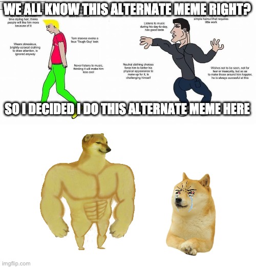 Alternate Memes | WE ALL KNOW THIS ALTERNATE MEME RIGHT? SO I DECIDED I DO THIS ALTERNATE MEME HERE | image tagged in the chad virgin vs the virgin chad | made w/ Imgflip meme maker