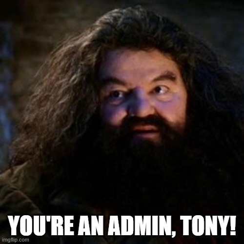 You're a wizard harry | YOU'RE AN ADMIN, TONY! | image tagged in you're a wizard harry | made w/ Imgflip meme maker