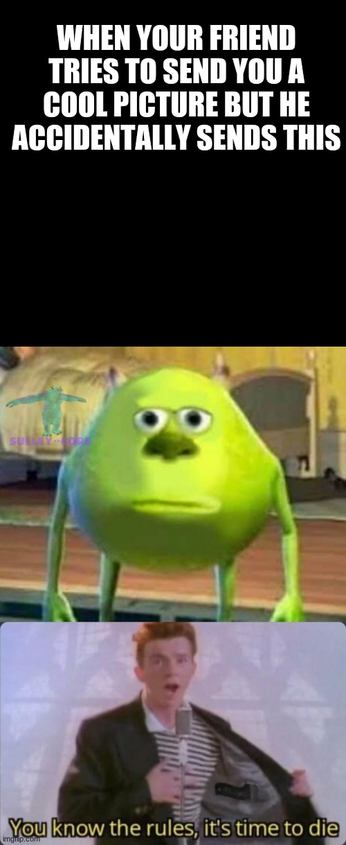 WHEN YOUR FRIEND TRIES TO SEND YOU A COOL PICTURE BUT HE ACCIDENTALLY SENDS THIS | image tagged in memes,blank transparent square,monsters inc,you know the rules it's time to die | made w/ Imgflip meme maker