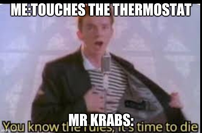 wut | ME:TOUCHES THE THERMOSTAT; MR KRABS: | image tagged in memes | made w/ Imgflip meme maker