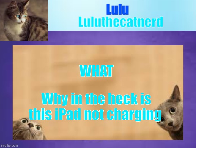 I DONT KNOw Y | WHAT; Why in the heck is this iPad not charging | image tagged in luluthecatnerd announcement template | made w/ Imgflip meme maker