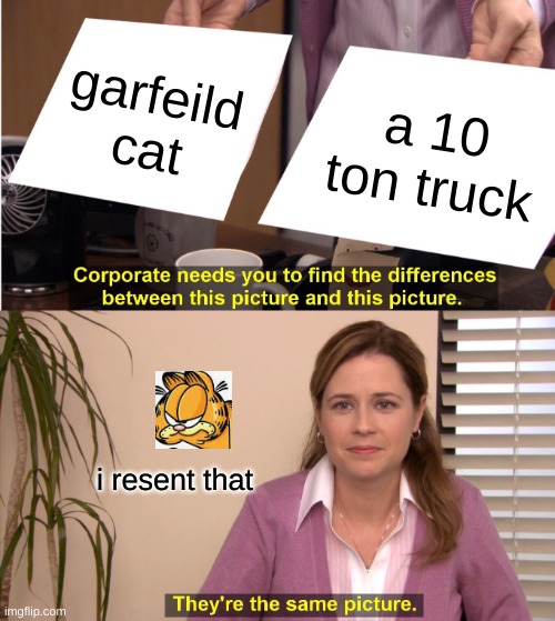 They're The Same Picture | garfeild cat; a 10 ton truck; i resent that | image tagged in memes,they're the same picture | made w/ Imgflip meme maker